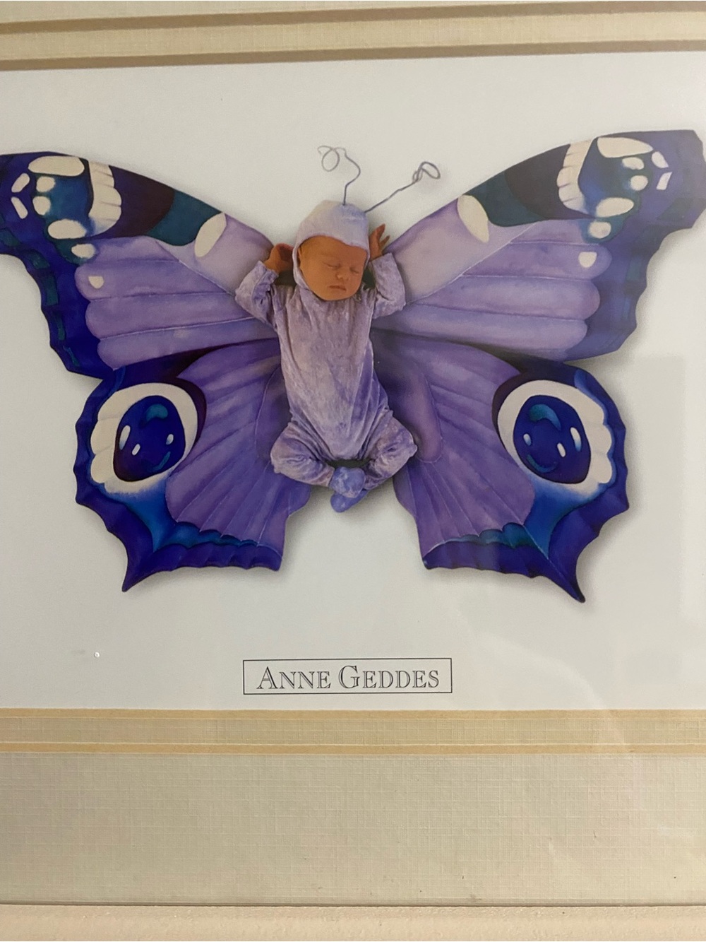 Anne Geddes Signed Purple Baby Hannah as a Butterfly Framed Art